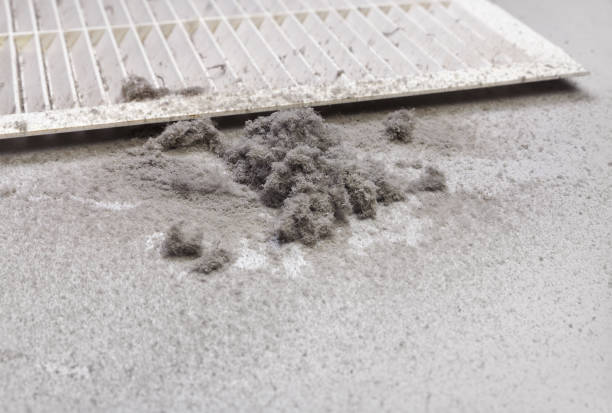 Best Best Air Duct Cleaning Company  in Grosse Pointe Farms, MI