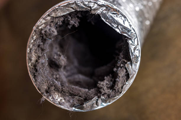 Best Best Air Duct Cleaning Company  in Grosse Pointe Farms, MI